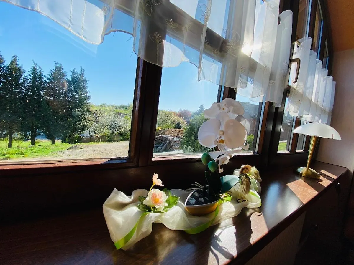 Pension Schmitt Waldfenster
