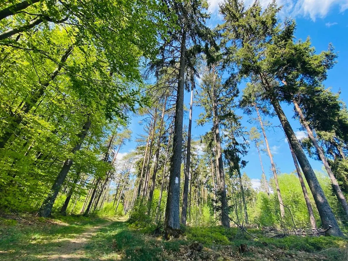 Pension Schmitt Waldfenster